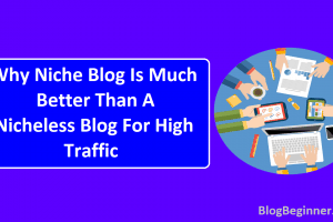 Niche Blog Is Much Better Than A Nicheless Blog For High Traffic