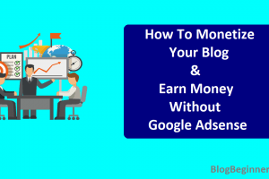 How To Monetize Your Blog And Earn Money Without Google Adsense