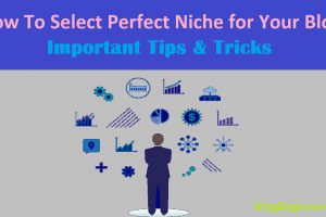 How To Select Perfect Niche for Your Blog: Important Tips & Tricks