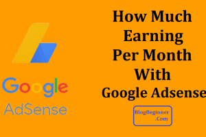 How Much Money You Can Earn Per Month With Google AdSense