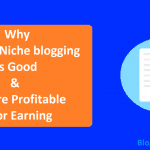 How Single or Micro Niche blogging Is Good & More Profitable For Earning