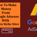 How To Create Micro Niche Sites & Earn Money With Google Adsense