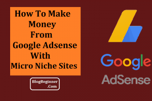 How To Create Micro Niche Sites & Earn Money With Google Adsense