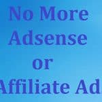6 Reasons You Can't Put Adsense or Affiliate Ads Your Business Website
