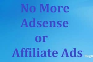 6 Reasons You Can’t Put Adsense or Affiliate Ads Your Business Website