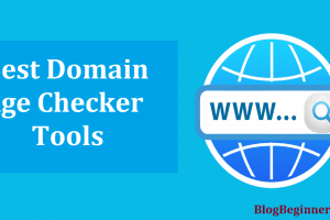 6 Best Domain Age Checker Tools: Find Age of Any Blog/Website