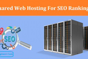 Does Shared Web Hosting Affect SEO Rankings For Blog or Website