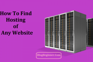How to Find Which WebHost Is Hosting: Find Hosting of Any Website