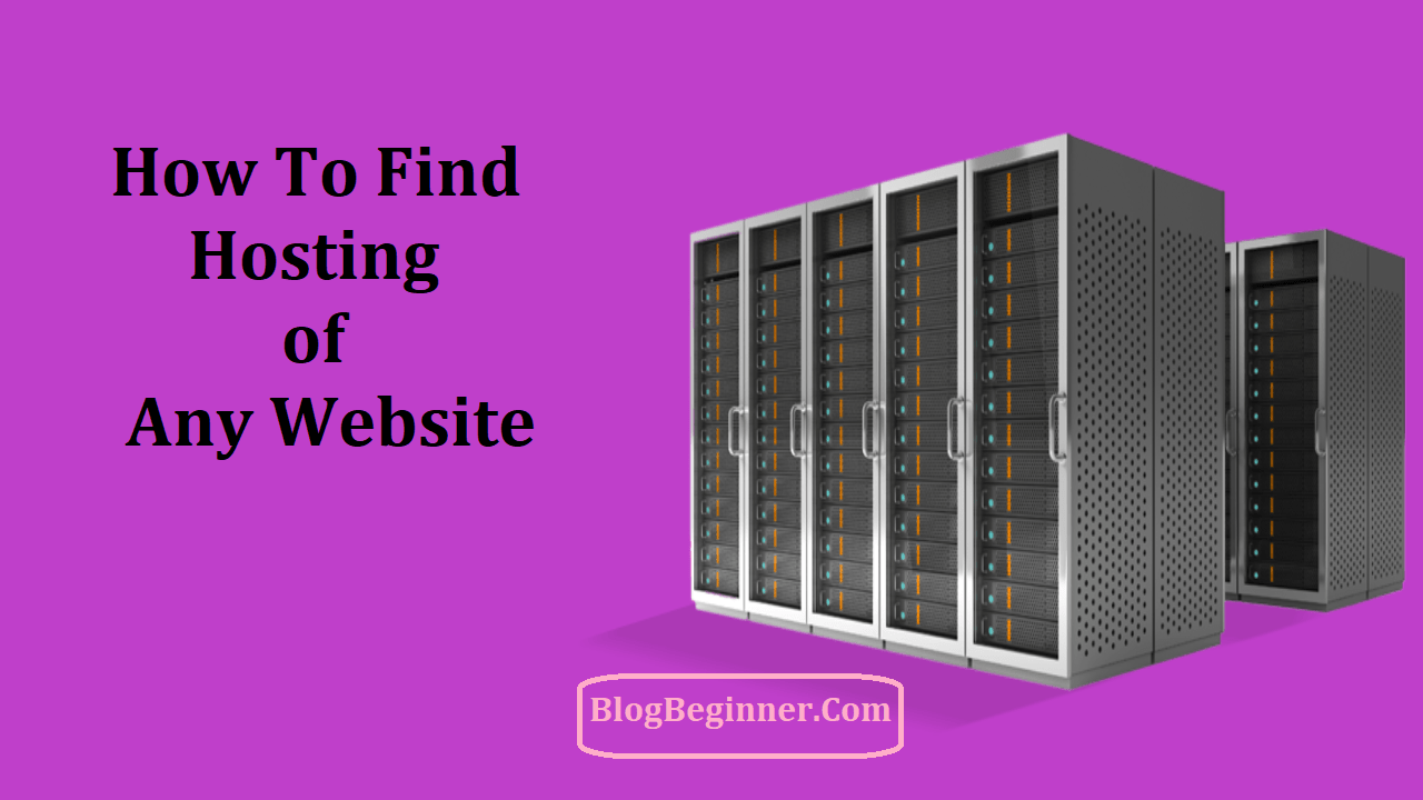 Find Hosting of Any Website