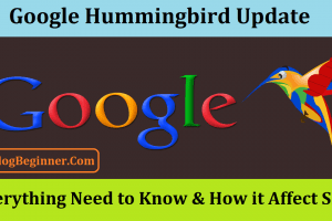 Google Hummingbird Update: Everything Need to Know & How it Affect SEO