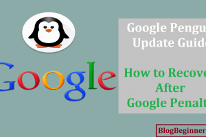 Google Penguin Update Guide: How to Recover After Google Penalty