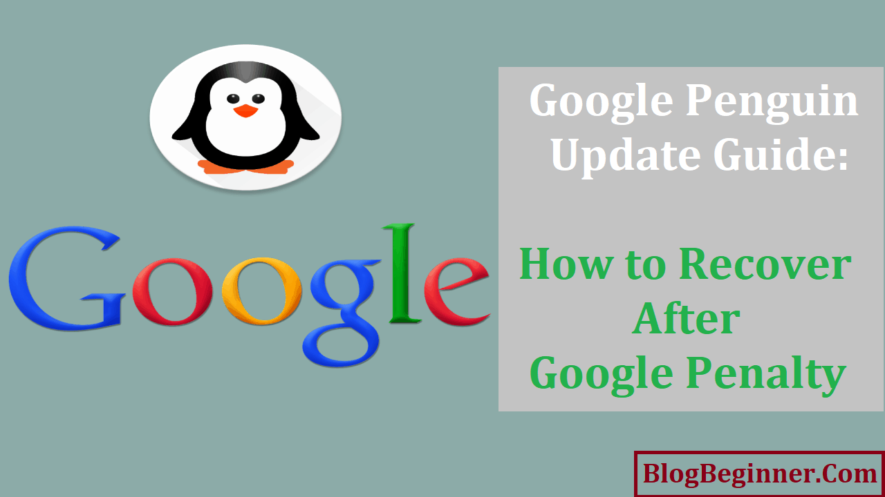 Google Penguin Update How to Recover After Penalty