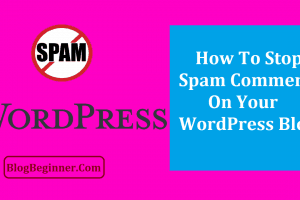 How To Stop Spam Comments on Your WordPress Blog/Site