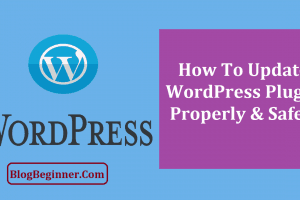 How To Update WordPress Plugin Properly & Safely