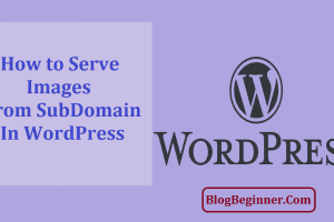 How to Serve Images from a SubDomain In WordPress
