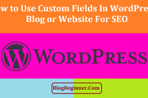 How to Use Custom Fields in Your WordPress Blog or Website for SEO