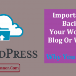 Importance of Backup Your WordPress Blog/Site: Why You Need It?