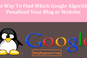 Panda or Penguin : How to Find Which Google Algorithm Penalized You