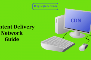 What Is A CDN (Content Delivery Network): How & Why to Use It?