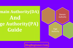 What Is Domain Authority(DA) & Page Authority(PA)? – How to Increase It