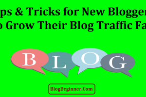 Tips & Tricks for New Bloggers to Grow Their Blog Traffic Fast