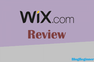 Wix Review Mar 2024: (Users & Experts) 7 Pros & 2 Cons